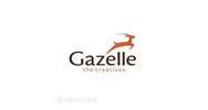 Công ty Gazelle là gì? Đặc điểm và ví dụ về loại hình công ty Gazelle