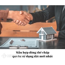Mẫu hợp đồng thế chấp quyền sử dụng đất đầy đủ, chi tiết