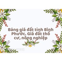 Bảng giá đất tỉnh Bình Phước năm 2024 Giá đất thổ cư, nông nghiệp