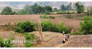Sử dụng đất không liên tục là gì? Mức phạt không sử dụng đất?