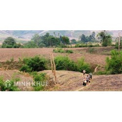 Sử dụng đất không liên tục là gì? Mức phạt không sử dụng đất?