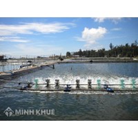 Đất nuôi trồng thủy sản là gì? Ký hiệu, đặc điểm đất nuôi trồng thủy sản?
