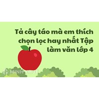 Tả cây táo mà em thích chọn lọc hay nhất Tập làm văn lớp 4