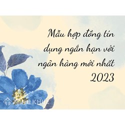 Mẫu hợp đồng tín dụng ngắn hạn với ngân hàng mới nhất