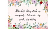 Mẫu hợp đồng dịch vụ cung cấp chăm sóc cây cảnh, cây kiểng