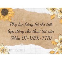 Phục lục bảng kê chi tiết hợp đồng cho thuê tài sản (Mẫu 01-1/BK-TTS)