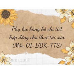 Phục lục bảng kê chi tiết hợp đồng cho thuê tài sản (Mẫu 01-1/BK-TTS)