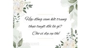 Hợp đồng cam kết trung thực tuyệt đối là gì? Cho ví dụ cụ thể
