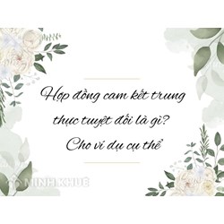 Hợp đồng cam kết trung thực tuyệt đối là gì? Cho ví dụ cụ thể
