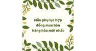 Mẫu phụ lục hợp đồng mua bán hàng hóa mới nhất
