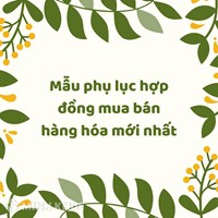 Mẫu phụ lục hợp đồng mua bán hàng hóa mới nhất