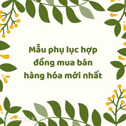 Mẫu phụ lục hợp đồng mua bán hàng hóa mới nhất