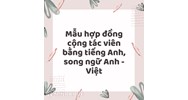 Mẫu hợp đồng cộng tác viên bằng tiếng Anh, song ngữ Anh - Việt