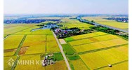 Mẫu Hợp đồng chuyển nhượng đất nông nghiệp mới nhất