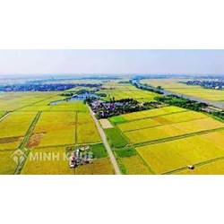 Mẫu đơn xác nhận hộ gia đình trực tiếp sản xuất nông nghiệp mới