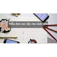 Mẫu đơn xin việc cho sinh viên mới ra trường hay nhất năm 2024