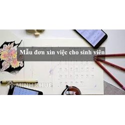 Mẫu đơn xin việc cho sinh viên mới ra trường hay nhất năm 2024