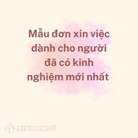 Mẫu đơn xin việc dành cho người đã có kinh nghiệm mới nhất