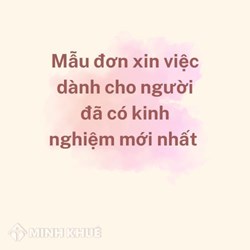 Mẫu đơn xin việc dành cho người đã có kinh nghiệm mới nhất