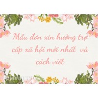 Mẫu đơn xin hưởng trợ cấp xã hội mới nhất và cách viết