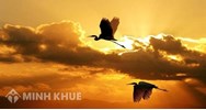 Phân tích hai câu đầu của bài thơ Chiều tối chọn lọc hay nhất