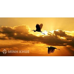 Phân tích hai câu đầu của bài thơ Chiều tối chọn lọc hay nhất
