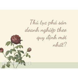 Thủ tục phá sản doanh nghiệp theo quy định mới nhất?