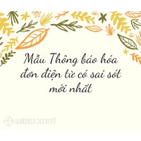 Mẫu Thông báo hóa đơn điện tử có sai sót mới nhất