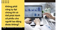 Không phải công ty đại chúng thì có thể phát hành cổ phiếu cho người lao động được không?