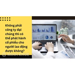Không phải công ty đại chúng thì có thể phát hành cổ phiếu cho người lao động được không?