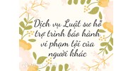 Dịch vụ Luật sư hỗ trợ trình báo hành vi phạm tội của người khác