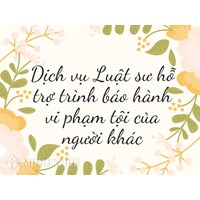 Dịch vụ Luật sư hỗ trợ trình báo hành vi phạm tội của người khác
