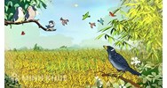 Cảm nhận về bài thơ Khi con tu hú của Tố Hữu chọn lọc hay nhất