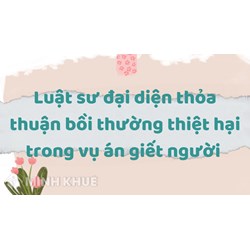 Luật sư đại diện thỏa thuận bồi thường thiệt hại trong vụ án giết người