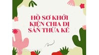 Hồ sơ khởi kiện chia di sản thừa kế gồm những gì?