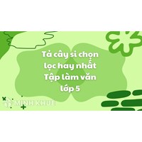 Tả cây si chọn lọc hay nhất Tập làm văn lớp 5