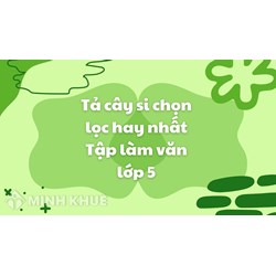 Tả cây si chọn lọc hay nhất Tập làm văn lớp 5