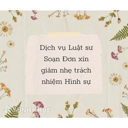Dịch vụ Luật sư Soạn Đơn xin giảm nhẹ trách nhiệm Hình sự