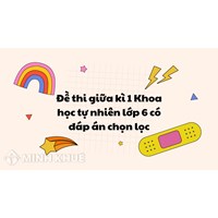 Đề thi giữa kì 1 Khoa học tự nhiên lớp 6 có đáp án chọn lọc
