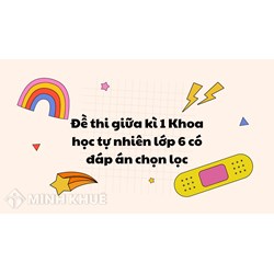 Đề thi giữa kì 1 Khoa học tự nhiên lớp 6 có đáp án chọn lọc