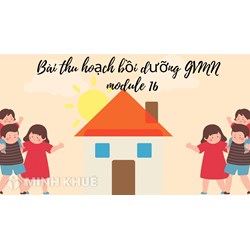 Bài thu hoạch bồi dưỡng thường xuyên module GVMN 16 mới nhất