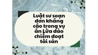 Luật sư soạn đơn kháng cáo trong vụ án Lừa đảo chiếm đoạt tài sản