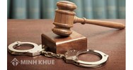 Luật sư nghiên cứu hồ sơ để soạn đơn xin giảm nhẹ trách nhiệm Hình sự