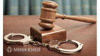 Luật sư nghiên cứu hồ sơ để soạn đơn xin giảm nhẹ trách nhiệm Hình sự