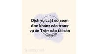 Dịch vụ Luật sư soạn đơn kháng cáo trong vụ án Trộm cắp tài sản