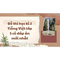 Đề thi học kì 2 Tiếng Việt lớp 5 có đáp án chi tiết nhất