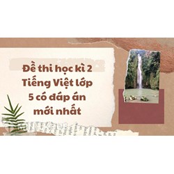 Đề thi học kì 2 Tiếng Việt lớp 5 có đáp án chi tiết nhất