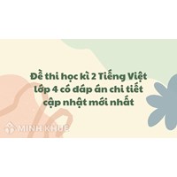 Đề thi học kì 2 Tiếng Việt lớp 4 có đáp án chi tiết nhất