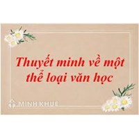 Thuyết minh về một thể loại văn học chọn lọc hay nhất