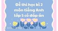 Đề thi học kì 2 môn tiếng Anh lớp 5 có đáp án chi tiết nhất